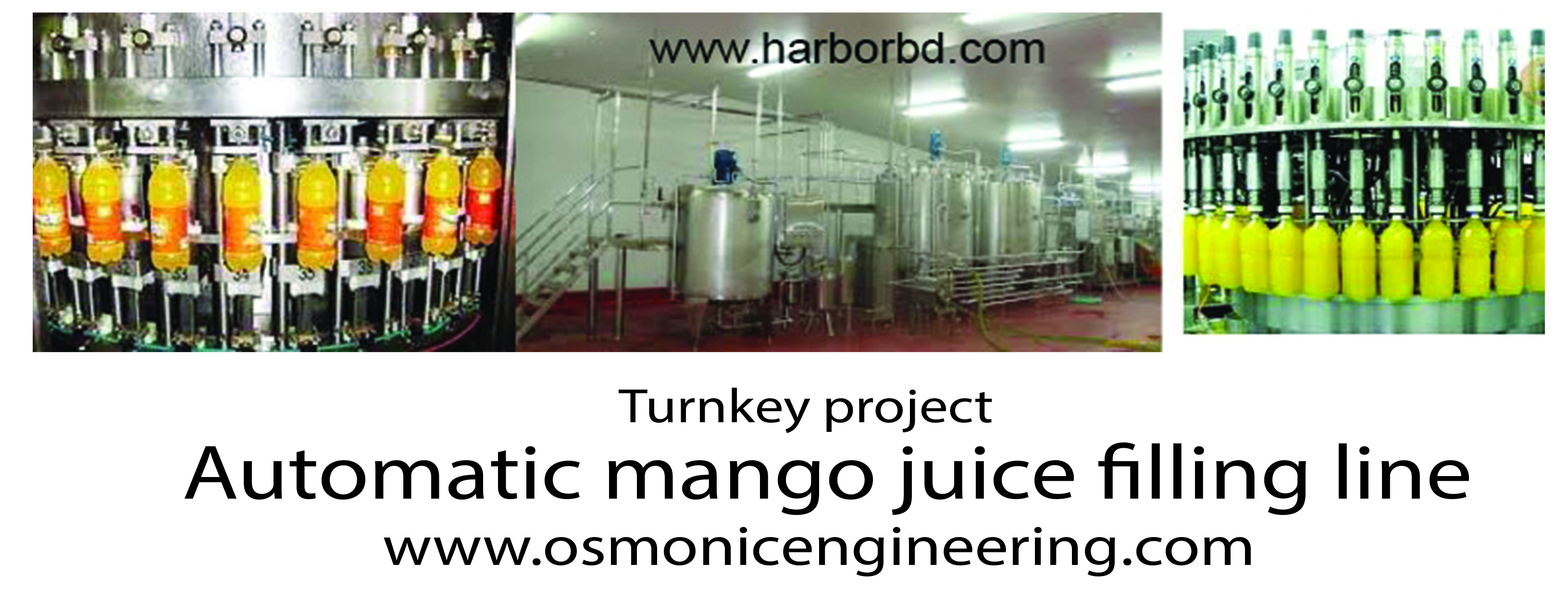 Turnkey basis mango juice filling line